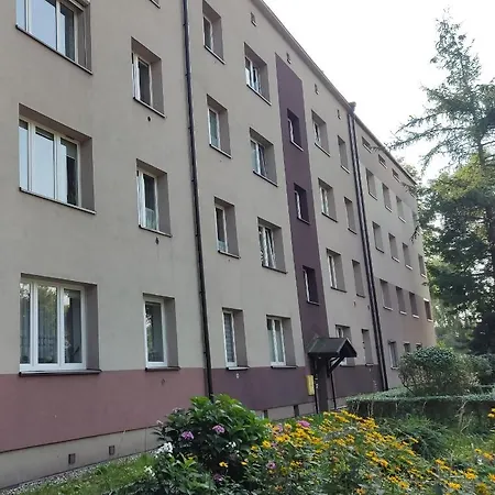 Apartament Curie