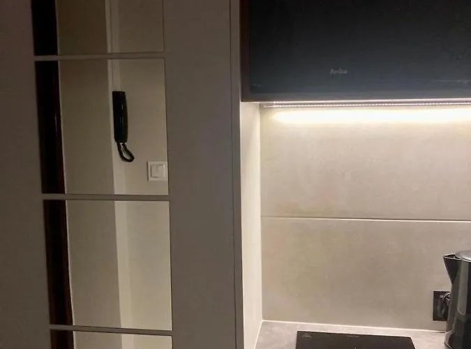 公寓 Curie 扎布热